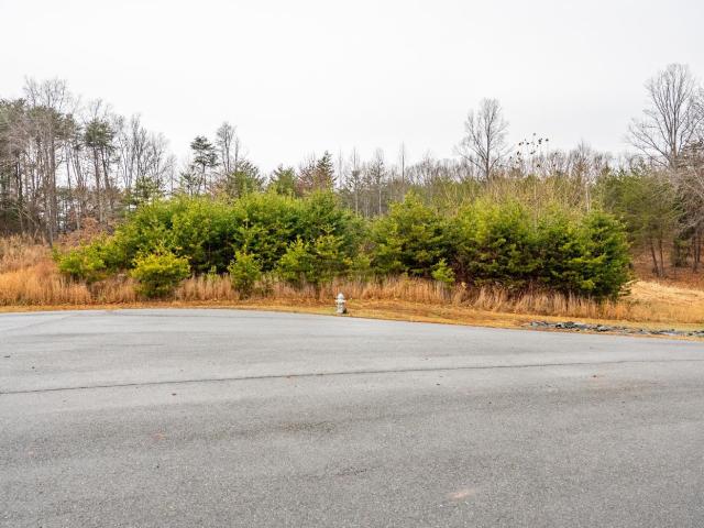 Land for sale in Virginia