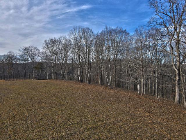 Land for sale in Russell Springs, Kentucky