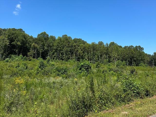 Land for sale in Tennessee