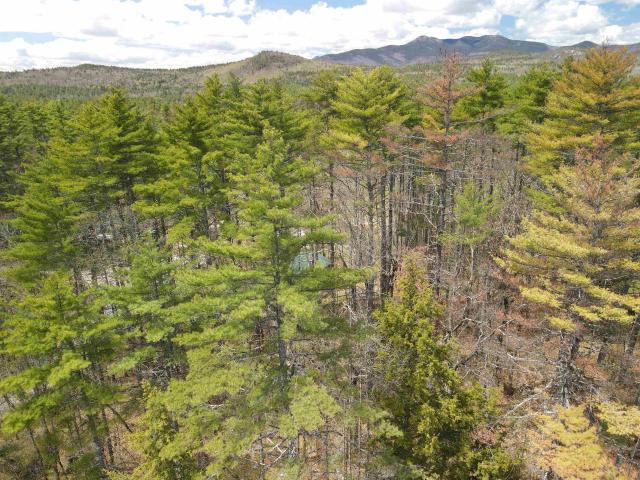 Land for sale in New Hampshire