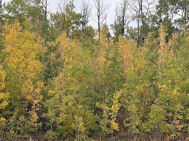 Land for sale in Alberta