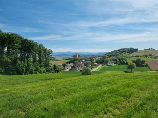 Landwirtschaft kaufen in Dunkelsteinerwald, Niederösterreich