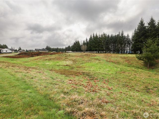 Land for sale in Montesano, Washington