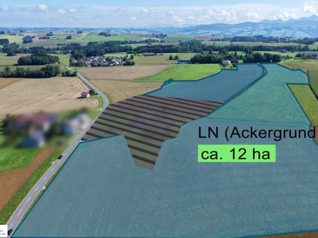 Immobilie kaufen in Pettenbach, Oberösterreich
