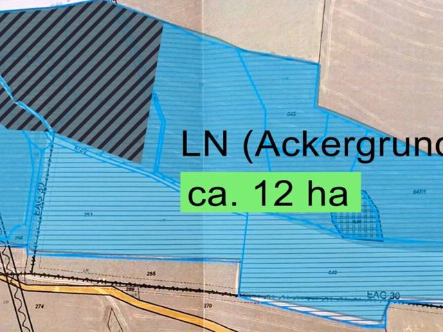 Landwirtschaft kaufen in Pettenbach, Oberösterreich