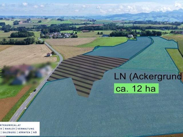 Landwirtschaft kaufen in Pettenbach, Oberösterreich