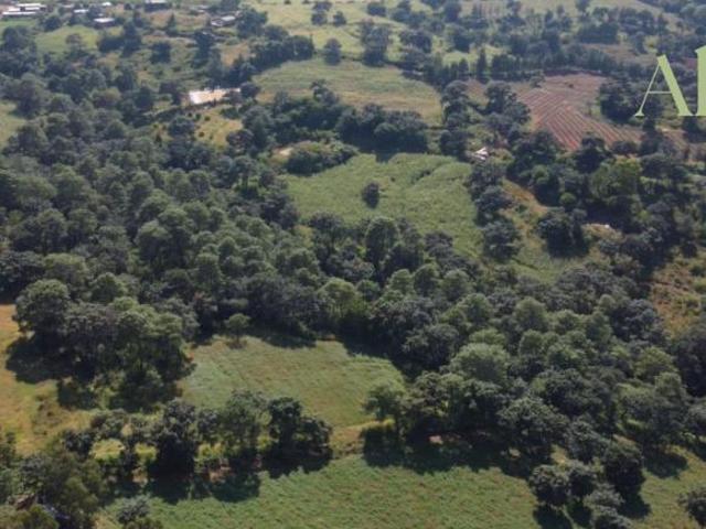 Terreno en venta en Los Reyes, Michoacán