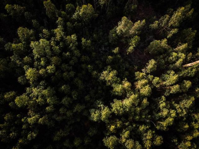 Commercial Land for sale in Western Cape
