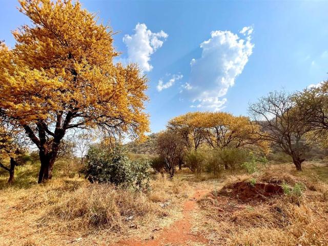 Land for sale in Limpopo