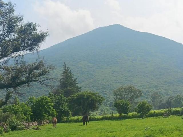 Terreno en venta en Jacona de Plancarte, Jacona
