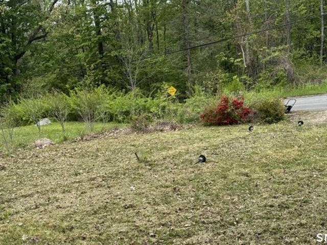 Land for sale in New Hartford, Connecticut