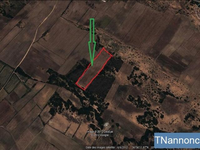 Terrain location