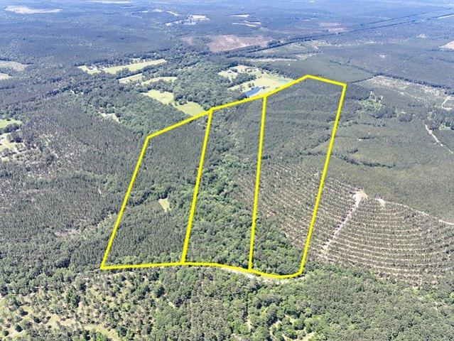 Land for sale in Polk, Texas