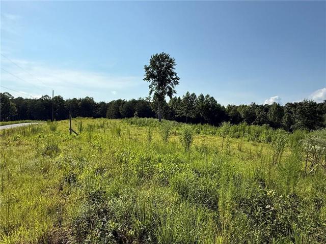 Land for sale in Dahlonega, Georgia