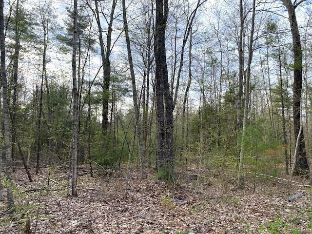 Land for sale in Petersham, Massachusetts