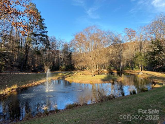 Land for sale in Black Mountain, North Carolina