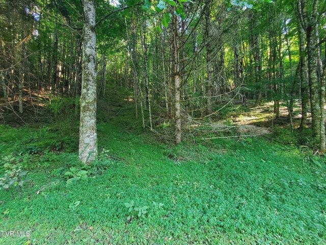 Land for sale in Tennessee