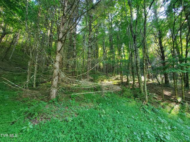 Land for sale in Tennessee