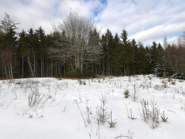 Property for sale in Deer Isle, Maine