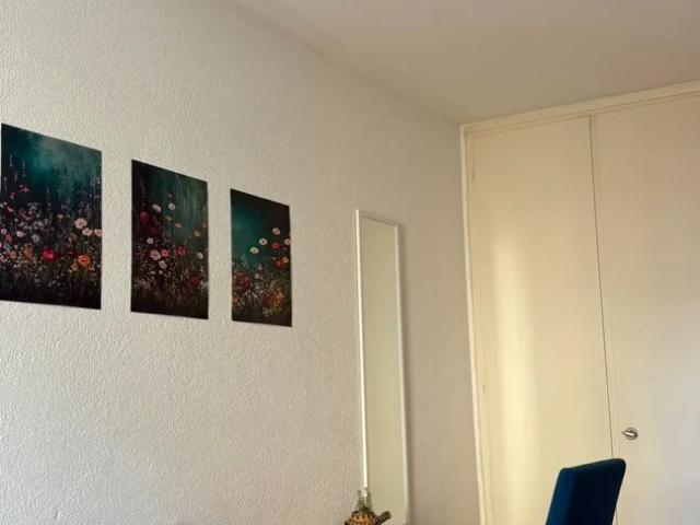 Studio mieten in Wohlen, Bezirk Bremgarten