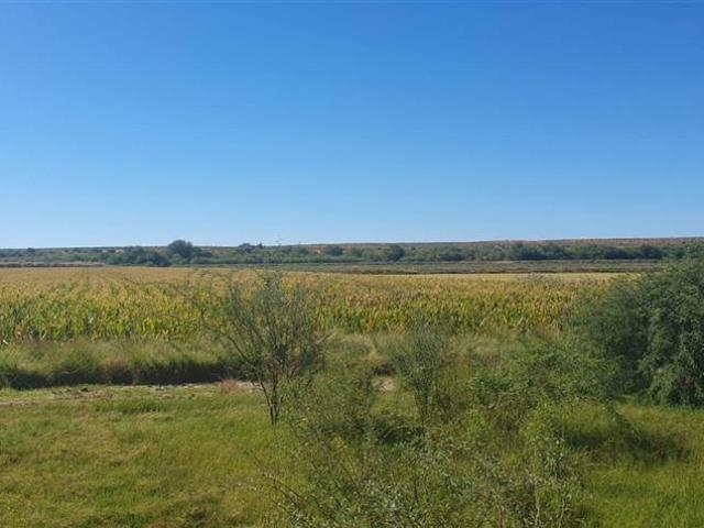 Farm for sale in Upington, Northern Cape