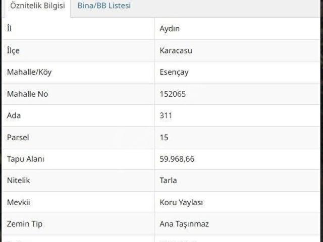 Çamköy, Karacasu içerisinde satılık Arsa