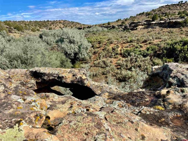 Land for sale in Montezuma, Colorado