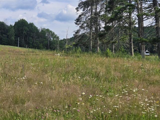 Land for sale in New Hampshire
