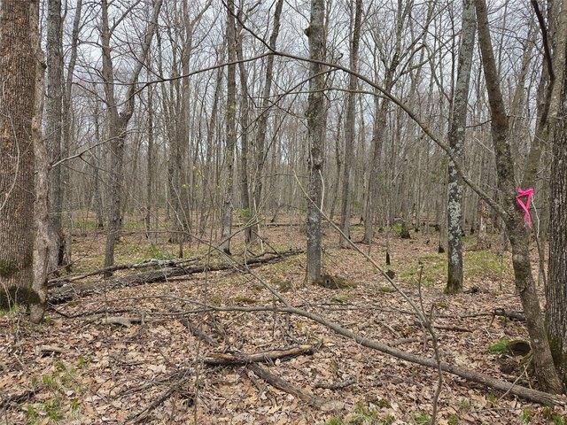 Land for sale in Sawyer, Wisconsin