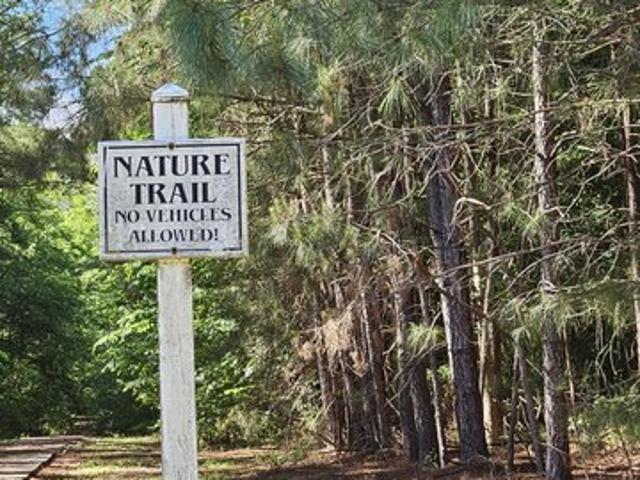 Land for sale in Hertford, North Carolina