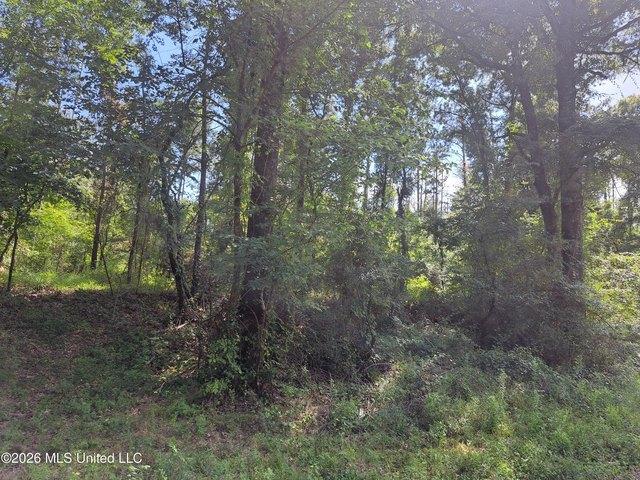 Land for sale in Canton, Mississippi