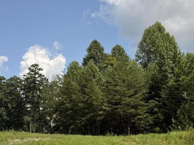 Land for sale in Tennessee