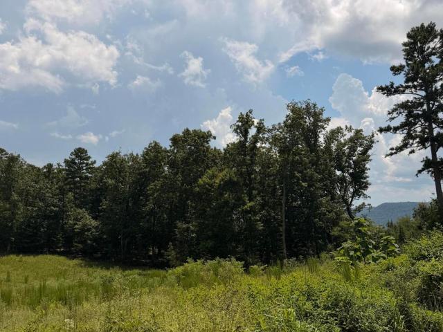 Land for sale in Tennessee
