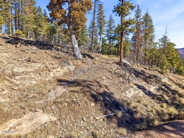 Land for sale in Alpine, Arizona