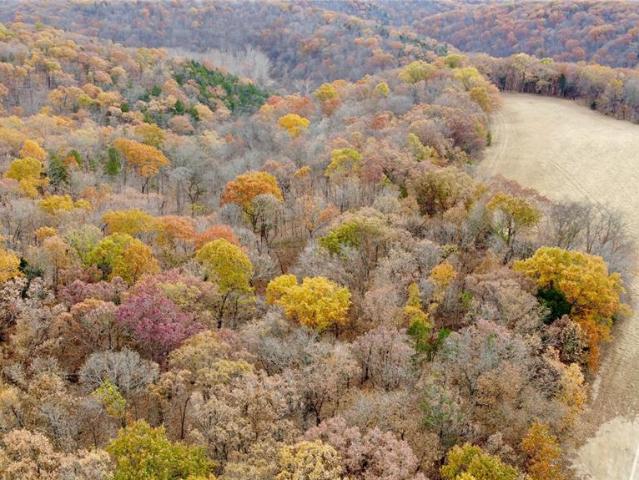 Land for sale in Marthasville, Missouri