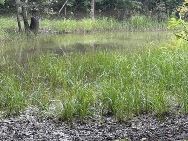 Land for sale in Tennessee