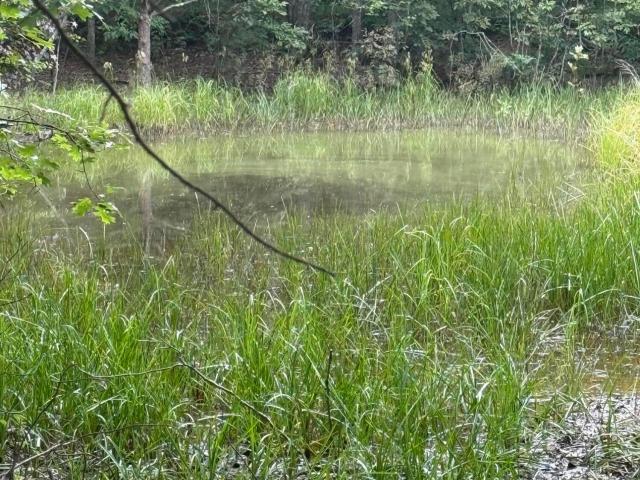 Land for sale in Tennessee