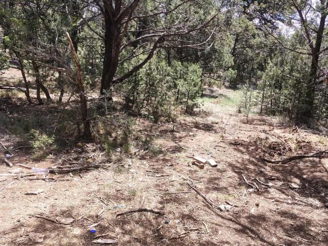 Land for sale in Placitas, New Mexico