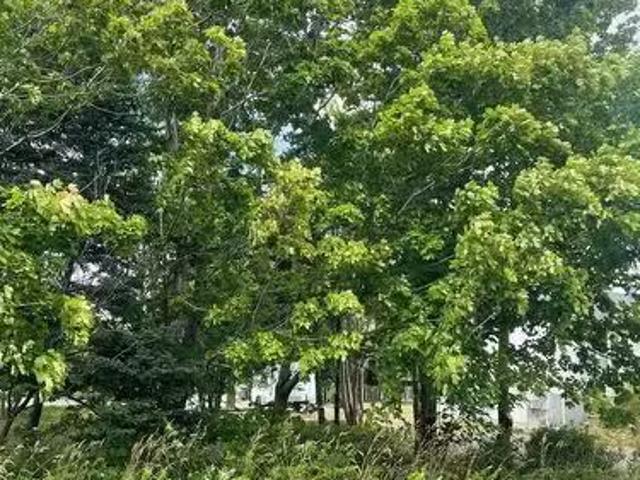 House for sale in Manuels, Newfoundland And Labrador