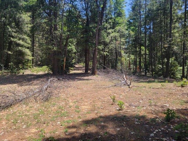 Land for sale in Georgetown, California