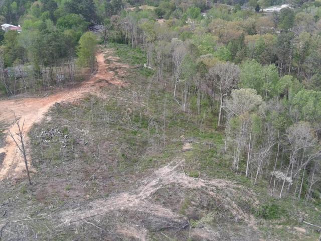 Land for sale in Dora, Alabama