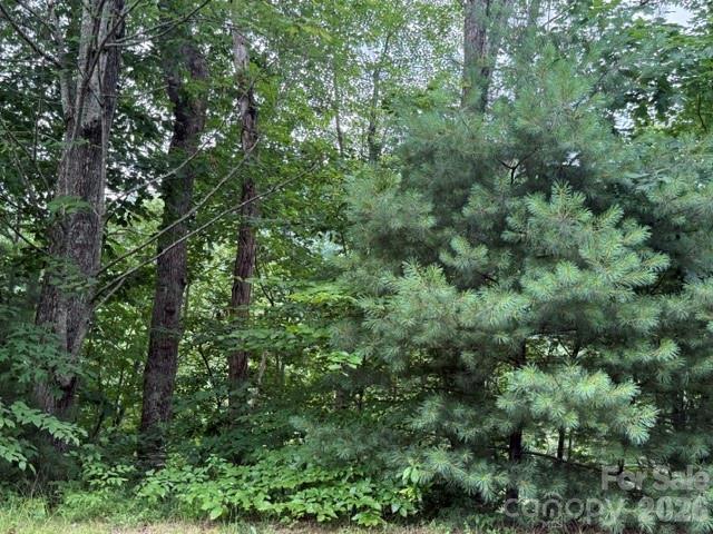 Land for sale in Hendersonville, North Carolina