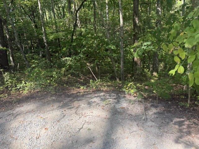Land for sale in Tennessee