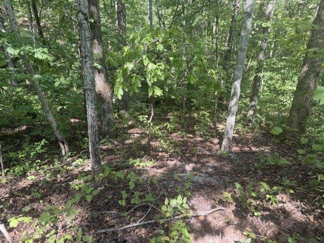Land for sale in Tennessee