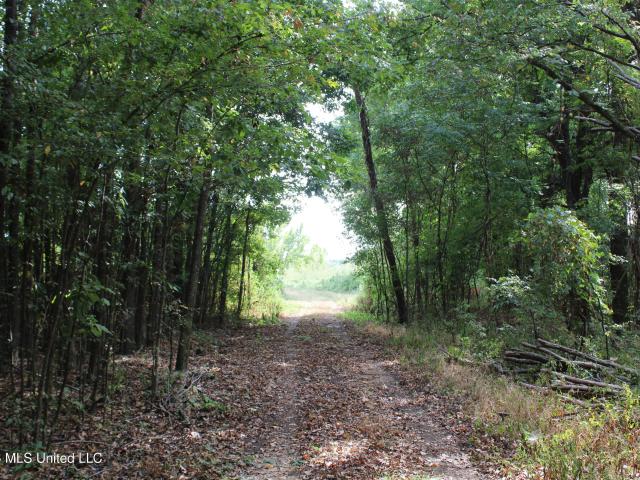 Land for sale in DeSoto County, Mississippi
