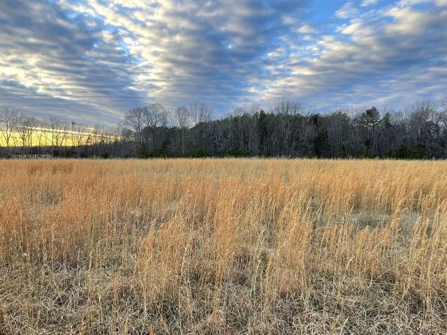 Land for sale in Virginia
