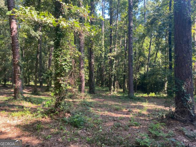 Land for sale in Augusta, Georgia