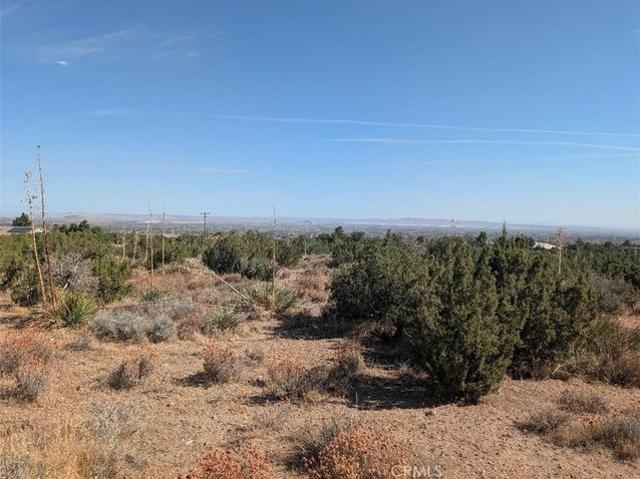 Land for sale in Pinon Hills, California
