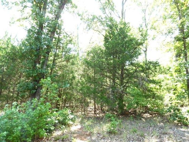 Land for sale in Henderson, Texas