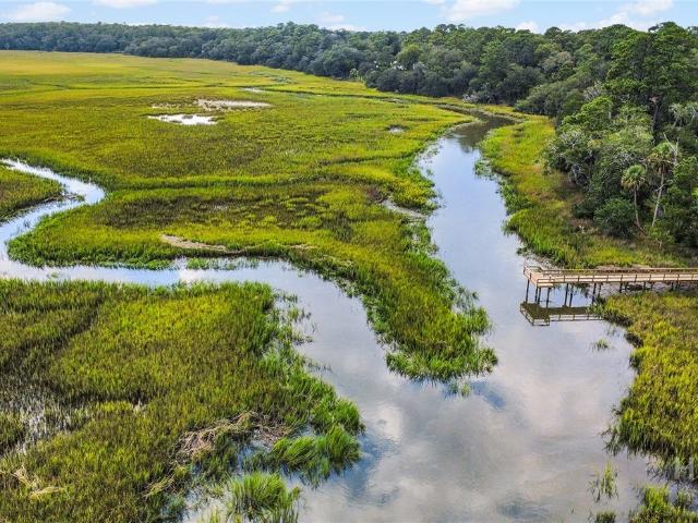 Land for sale in Darien, McIntosh County